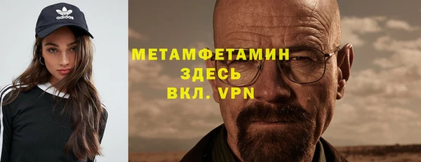 индика Пестово