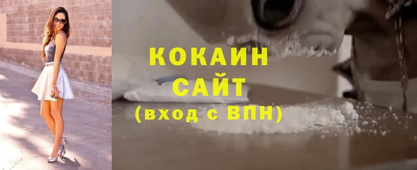 дмт Пересвет