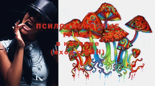 таблы Дмитров