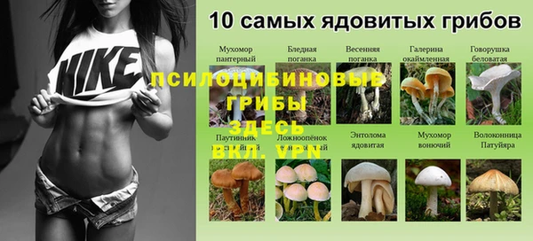 таблы Дмитров