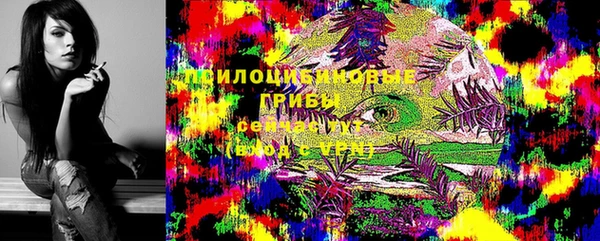 марихуана Дмитровск