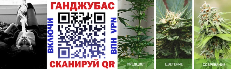 как найти закладки  Новая Ладога  Бошки Шишки планчик 